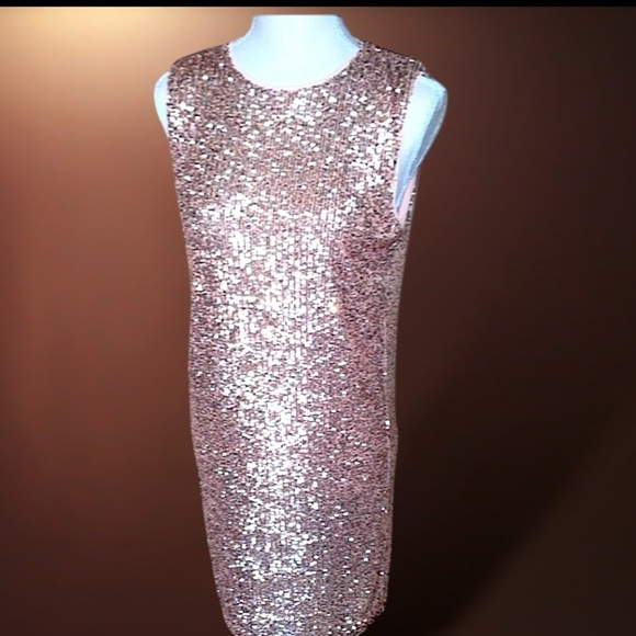 NWT She + Sky Sequined Sheath Rose Gold Pink Size Small - Picture 10 of 11